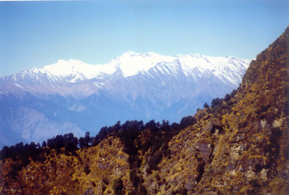 Garhwal Himalayas from Chopta ( 2700 meters) in Uttaranchal.