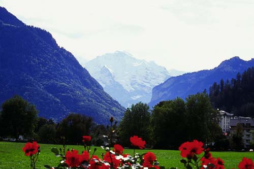 Swiss Alps from Interlaken, Switzerland