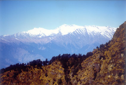 Majestic peaks of Garhwal Himalayas from Chopta ( 2700 meters) in Uttaranchal.