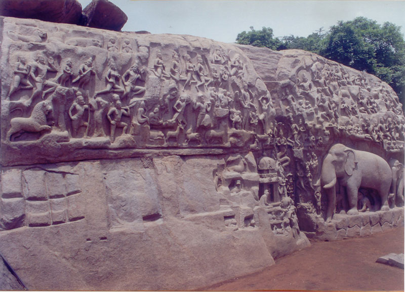 Stone carved elephant herd at Mahabalipuram, Chennai, India